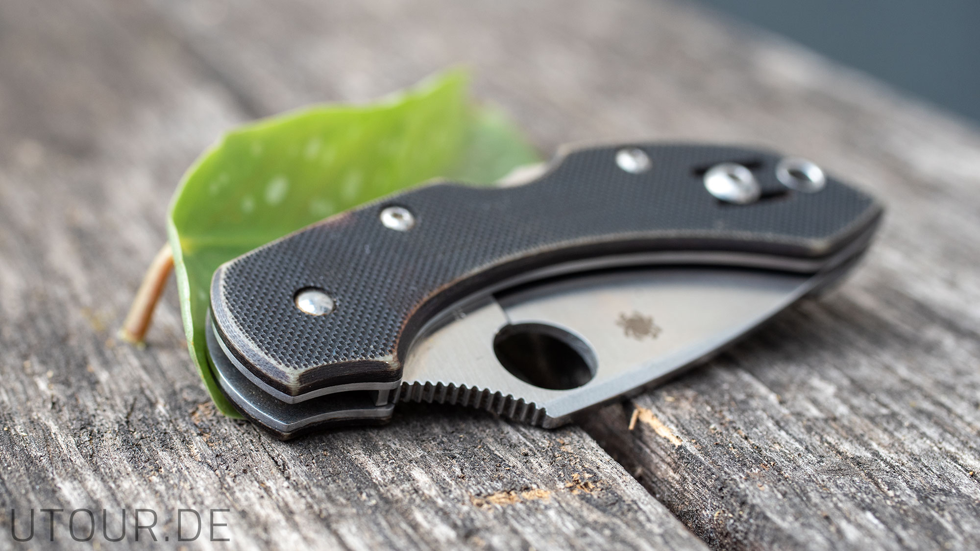 Review - How does Rit Dyed Spyderco FRN hold up?